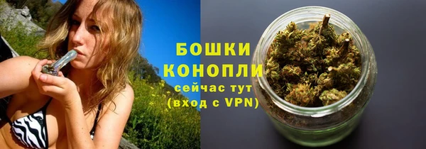 PSILOCYBIN Гусиноозёрск