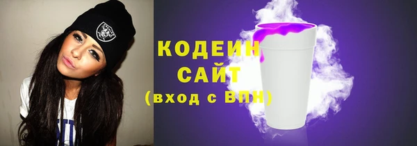спайс Гусь-Хрустальный