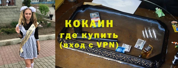 спайс Гусь-Хрустальный