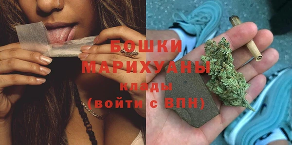 спайс Гусь-Хрустальный
