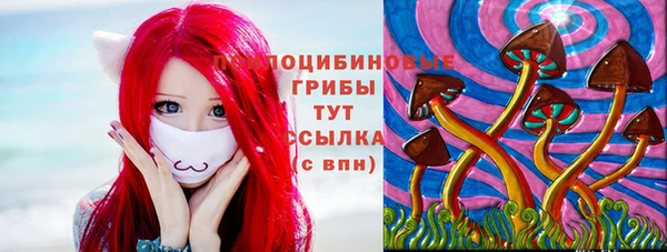 PSILOCYBIN Гусиноозёрск