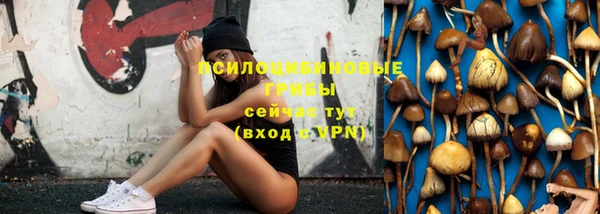 бутират Гусев