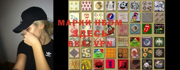 PSILOCYBIN Гусиноозёрск