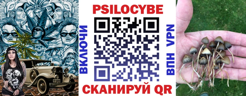ОМГ ОМГ зеркало  Березники  Псилоцибиновые грибы мухоморы 