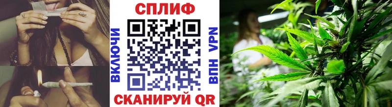 Канабис план Березники